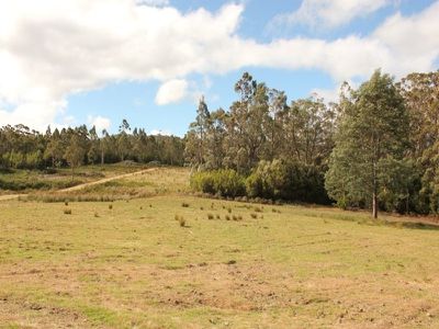 453 Woodbridge Hill Road, Gardners Bay