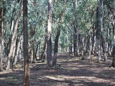 780 Glen Creek Road, Bonnie Doon