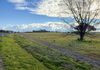 238 Forest Reefs Road, Millthorpe