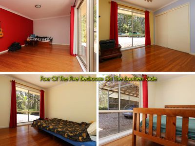 4 / 929 Blue Knob Rd, Nimbin