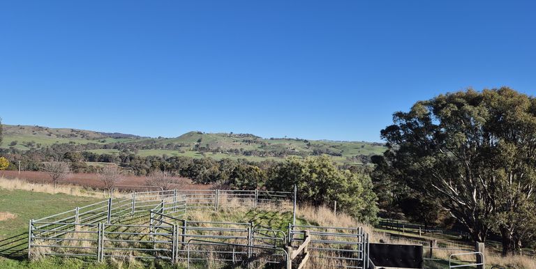 122 Delatite County, Gooram