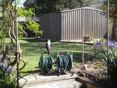 2 Lark Place, Mount Gambier