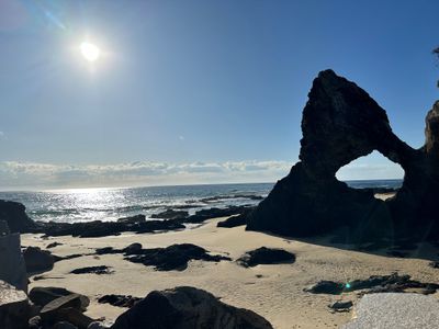 Clearly The Best Window Cleaning