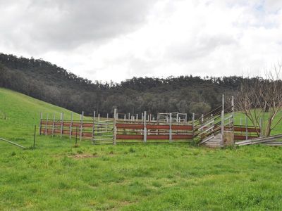 Bullhead Road, Mitta Mitta