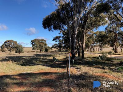 Lot 1, 4000 Korong Vale-Wychitella Road, Woolshed Flat