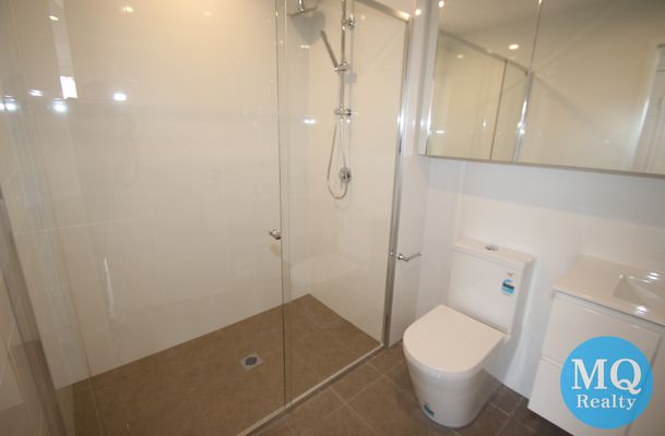 509 / 11 RAPHAEL STREET, Lidcombe