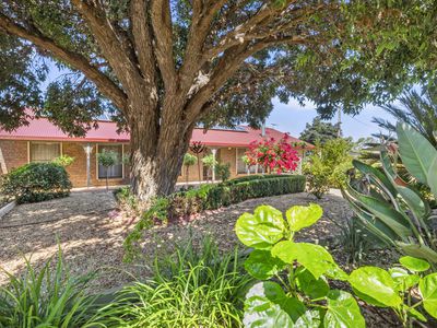 15 Moore Street, Murray Bridge East