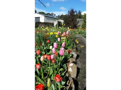 1075 Woodbridge Hill Road, Gardners Bay