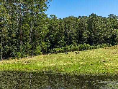 4358 Kyogle Road, Lillian Rock