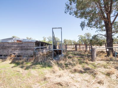 91 & 92 Caledonia Street, Eumungerie