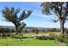 140 Selection Road, Orange