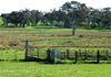 Lot 42, 46 Forest Road, Orange
