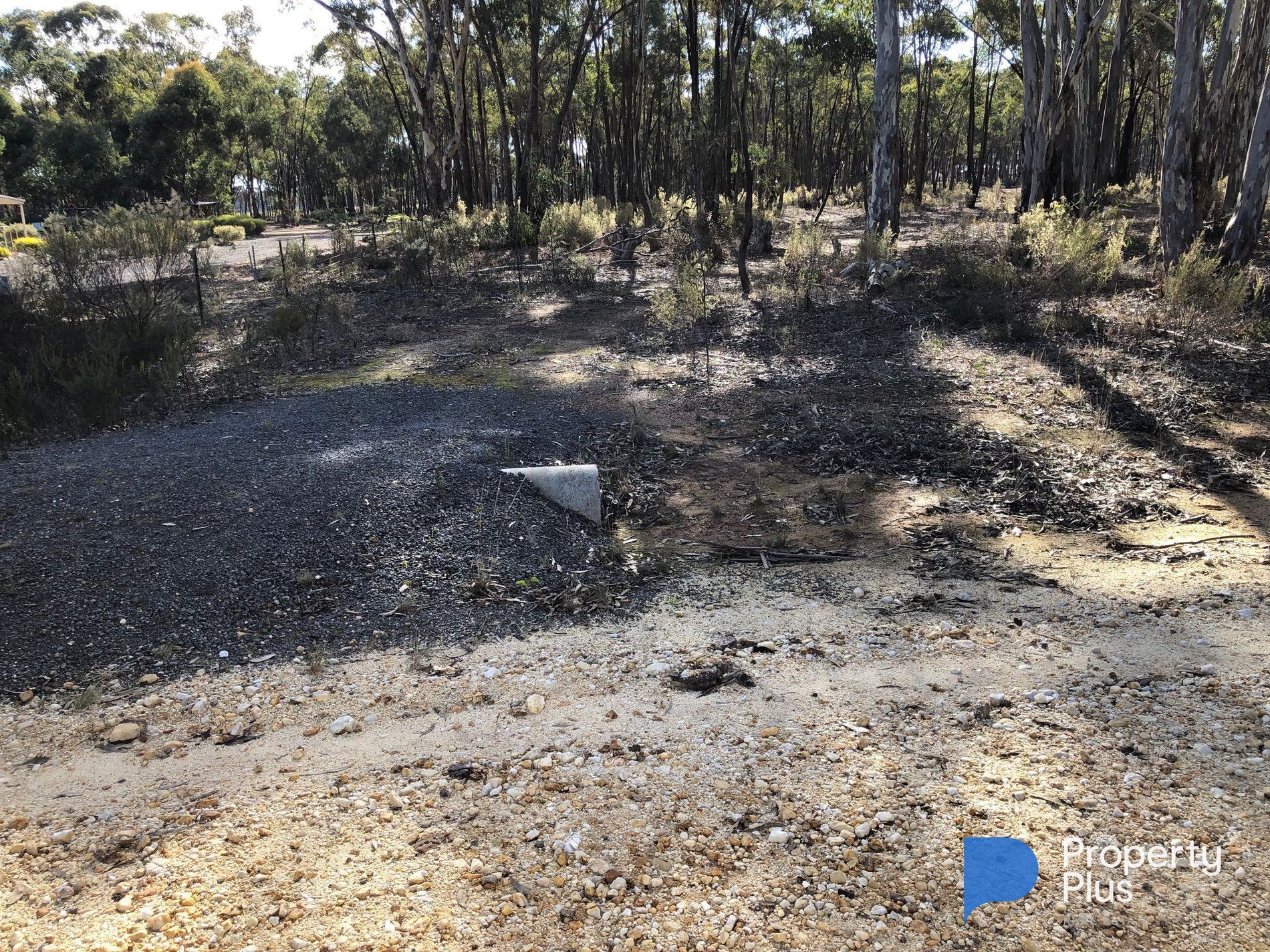 59 Palmer Road, Simson