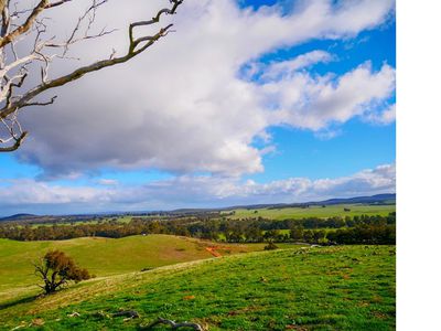 78 Cherry Tree Road, Nagambie