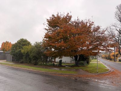 1 Simmonds Street , Mount Beauty