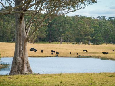 5371 Princes Highway, Bodalla