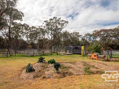 5368 Strathbogie Road, Emmaville