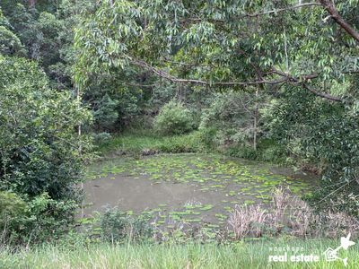 694 Pipeclay Road, Pipeclay