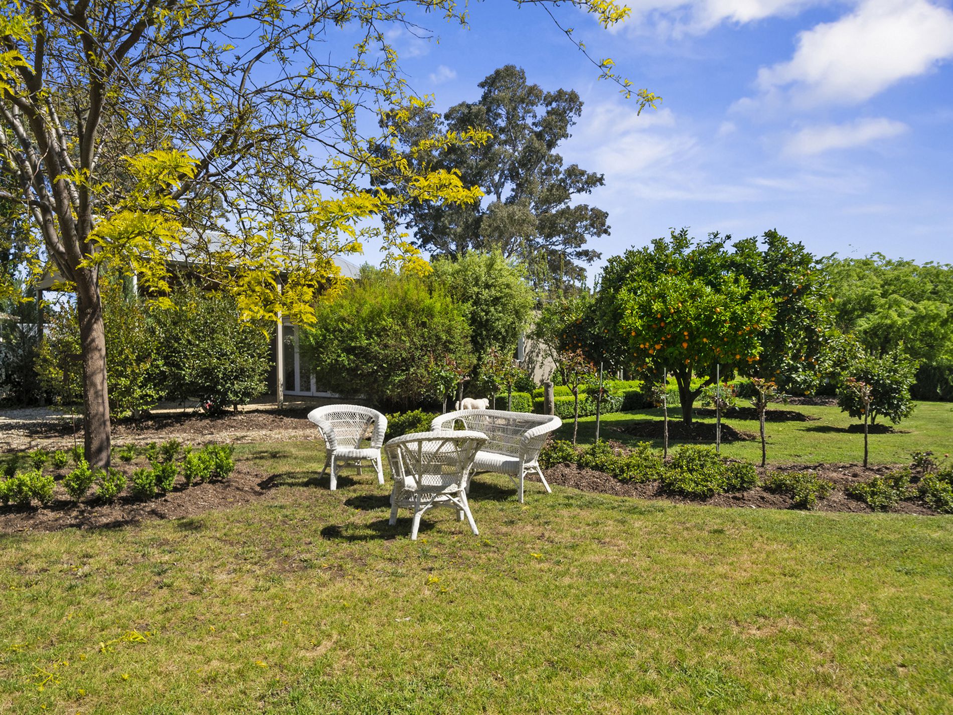 9 Logan Street, Mansfield