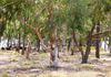 106 Lemmons Road, Borenore