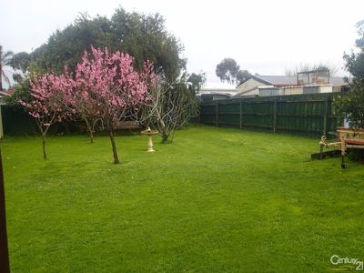 15 Hillview Rise, Hampton Park