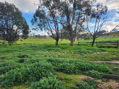 30 Popples Lane, Hilldene