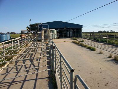 2 Tulla Road, Tullakool
