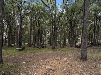 Lot 702 Robin Road, Roleystone