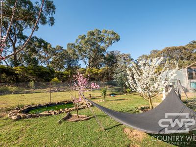 5368 Strathbogie Road, Emmaville