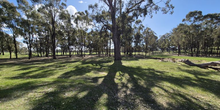 Lot 1  10 Dunnings Road, Balmattum