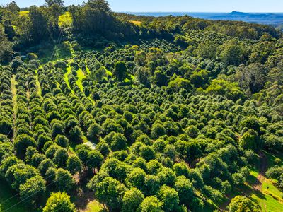 480 Ponsfords Road, Comboyne