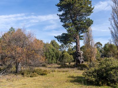 Lot 1, Lyell Highway, Derwent Bridge