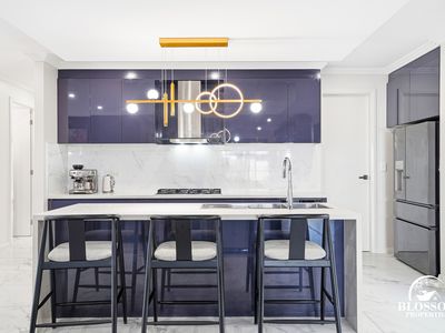 53 Ribbonwood Crescent, Marsden Park