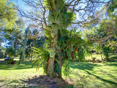 21 Suses Pocket Road, Mapleton