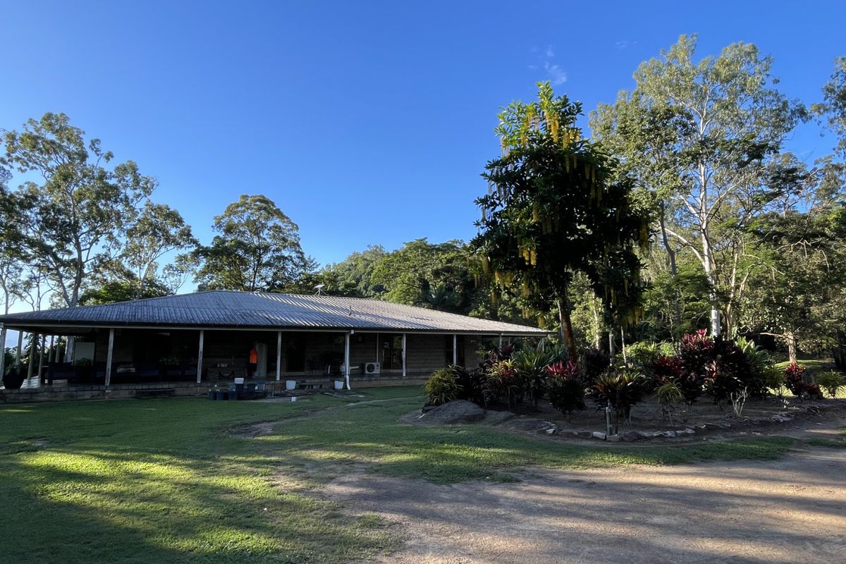 Elevated Rainforest Seclusion