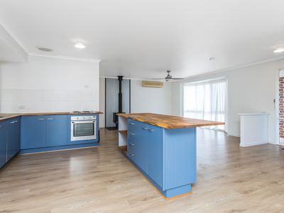 20 Wyara Court, Petrie