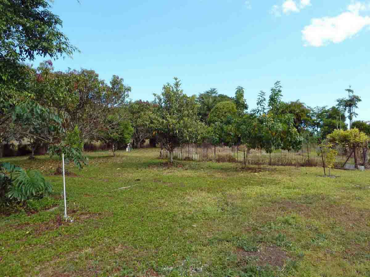82 Sheehan Road, Tarzali