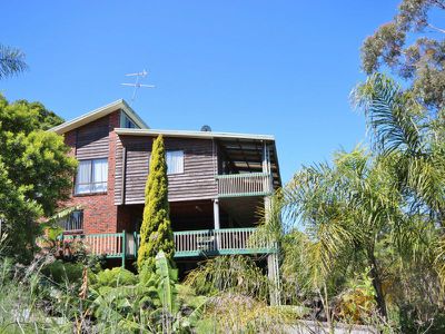 17B Phillipps Street, Eden