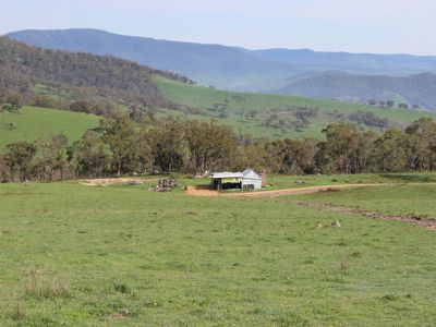 Jerry's Falls Road, Sodwalls