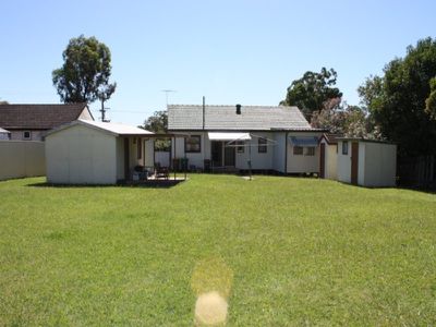 Lurnea