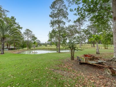 1372 Greenridge Pinbarren Road, Pinbarren
