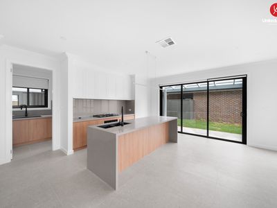 14 Calendula Court, Casula