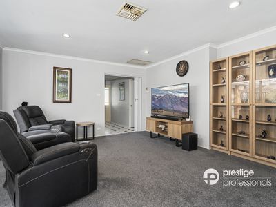7 Wollemi Court, Wattle Grove