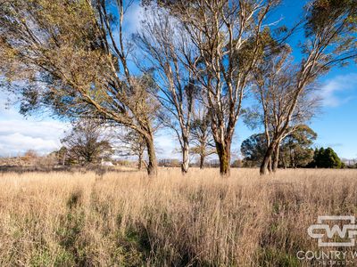 Lot 2, Tuckeys Lane, Guyra NSW 2365, Australia, Guyra