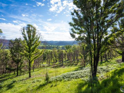 81 Waincourt Road, Eurobodalla