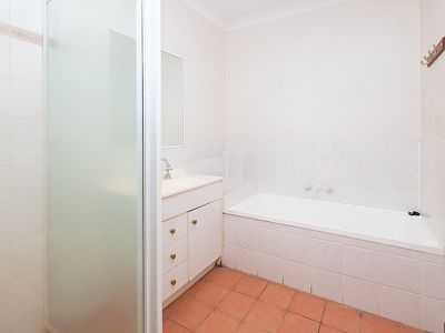 51 Buddleia, Inala