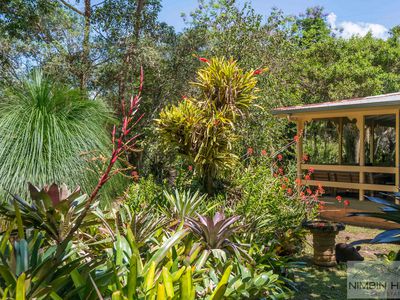 447 Terania Creek Road, Terania Creek