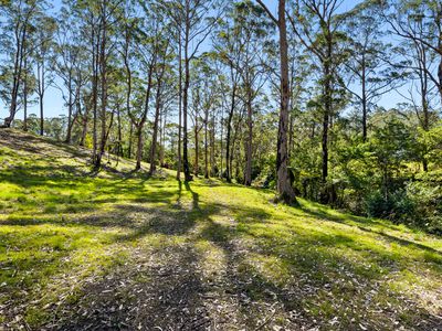 Lot 19, Worthy Drive, Malua Bay