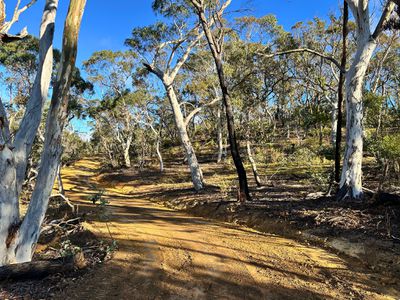 14 Ningee Nimbell Creek Road, Braidwood