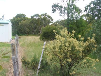 Lot 46, Cryland Street, Emmaville